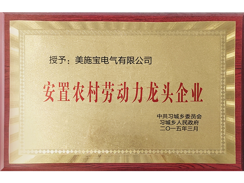 安置農村勞動力龍頭企業